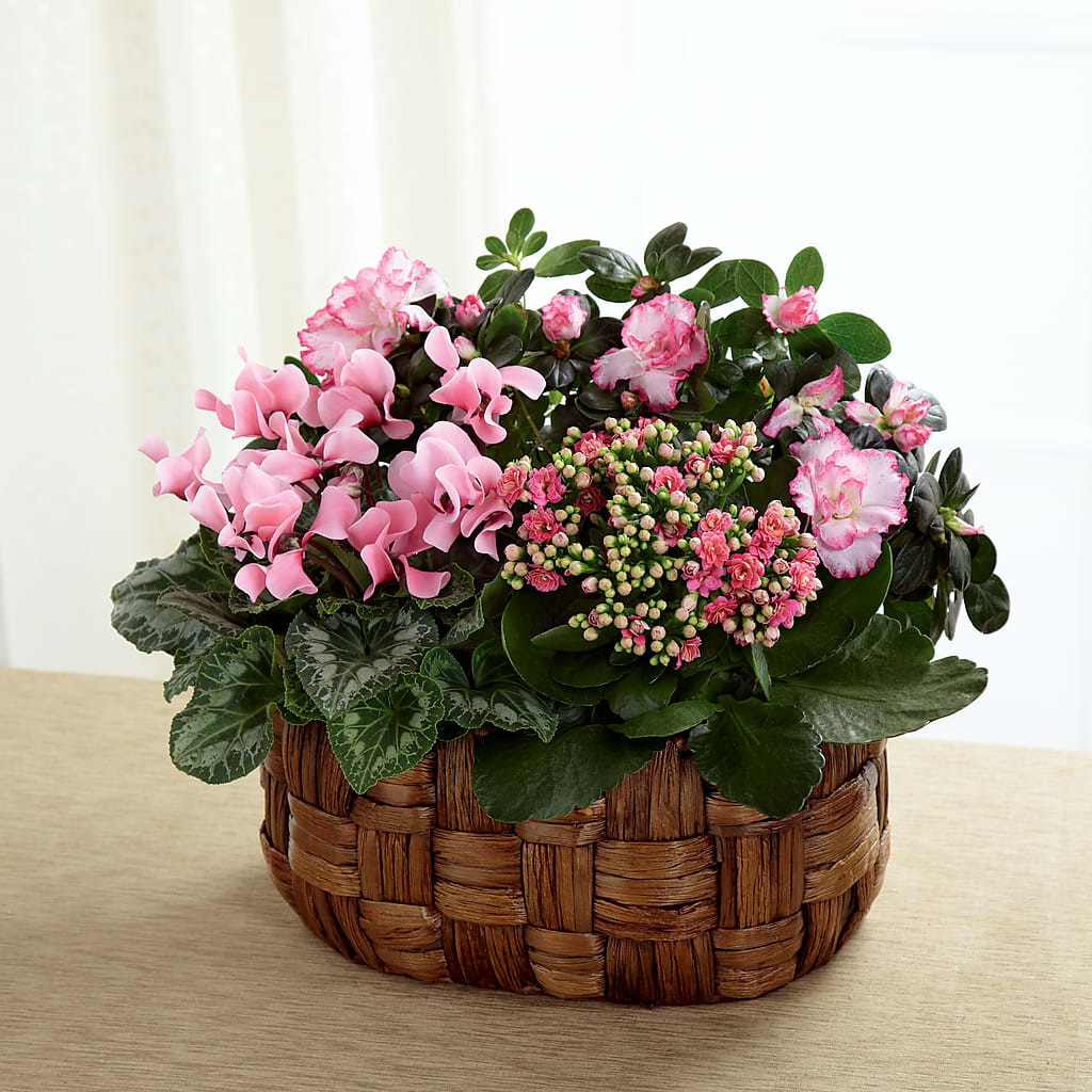 Pink Assortment – Gathered Blooms By Emily, Fairburn GA