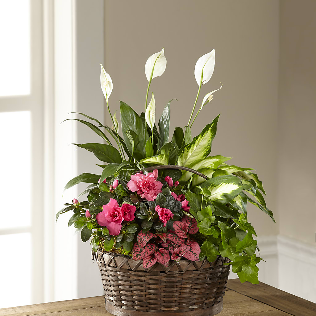 Dream in Pink Dishgarden – Gathered Blooms By Emily, Fairburn GA