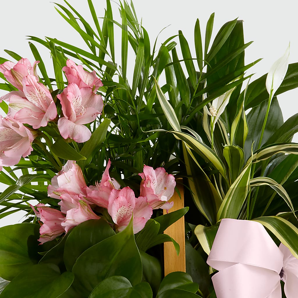 Living Spirit Dishgarden – Gathered Blooms By Emily, Fairburn GA