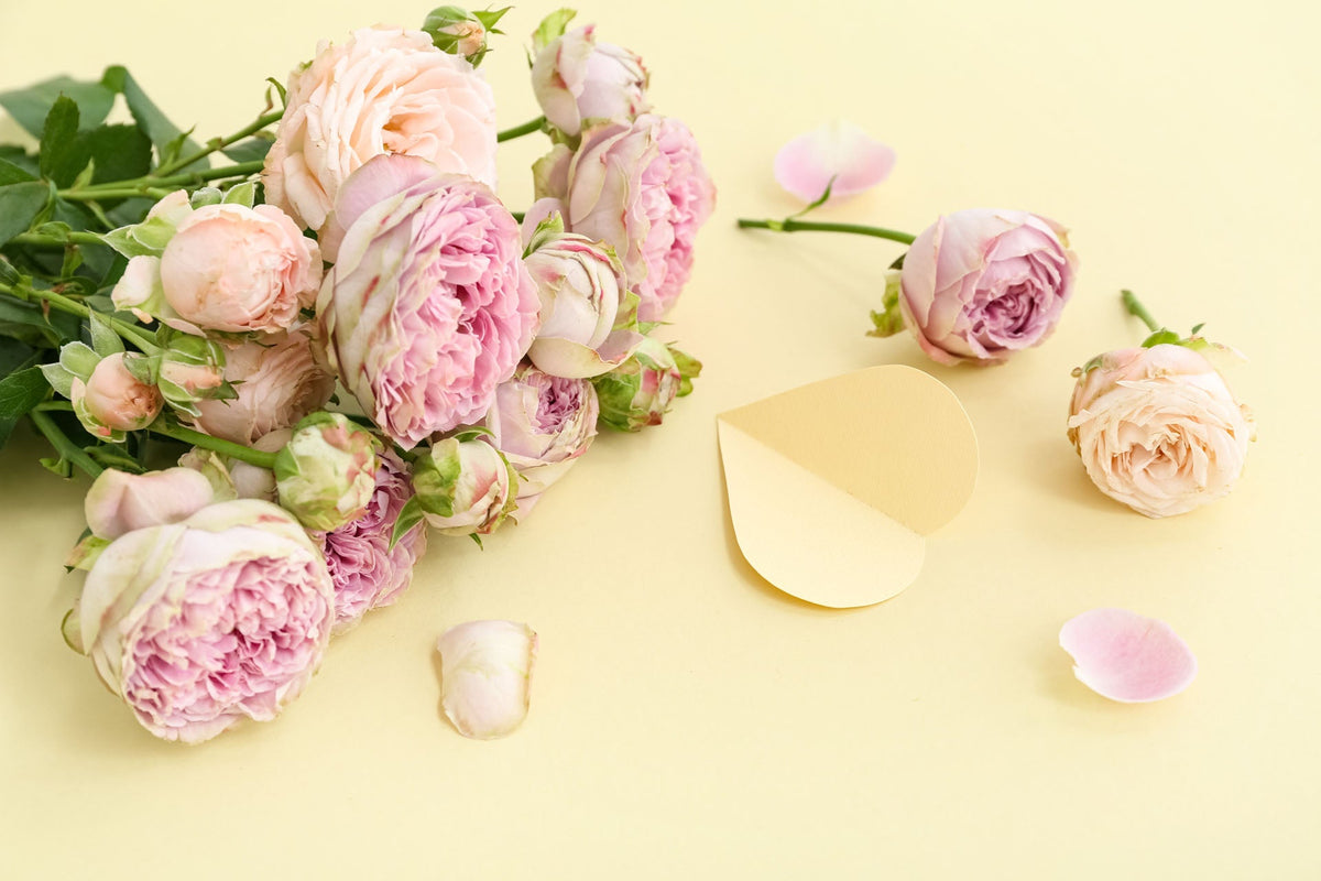 Sweetest Day