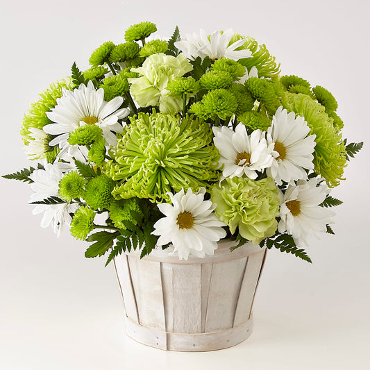 Lucky Charm Basket (Standard) –  Gathered Blooms By Emily, Fairburn GA