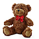 Adorable Plush Bear –  Gathered Blooms By Emily, Fairburn GA