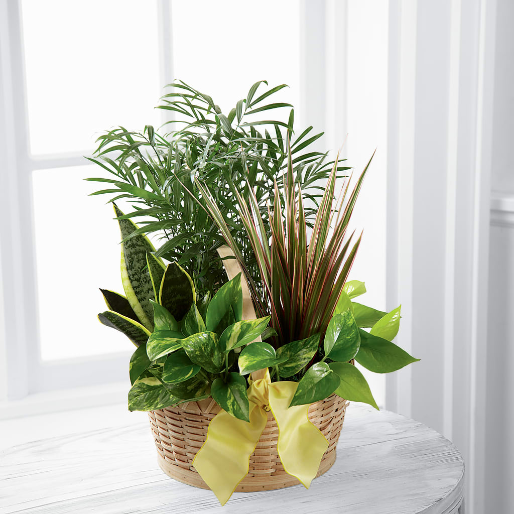 French Garden –  Gathered Blooms By Emily, Fairburn GA