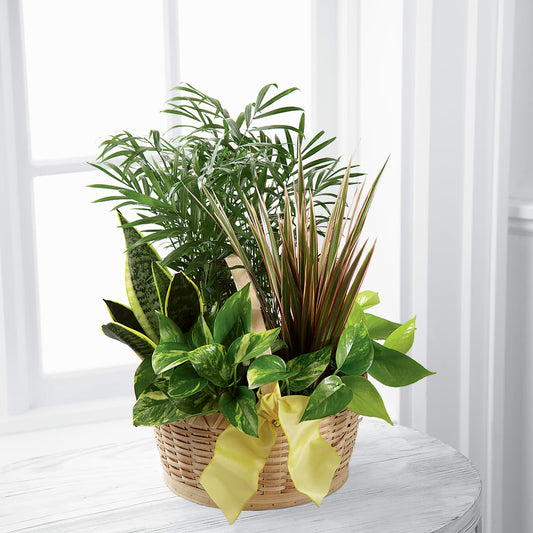 French Garden –  Gathered Blooms By Emily, Fairburn GA