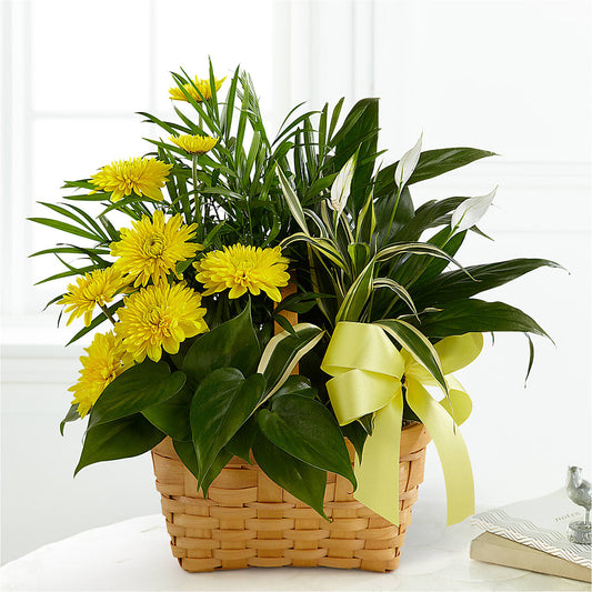 Loving Light Dishgarden –  Gathered Blooms By Emily, Fairburn GA