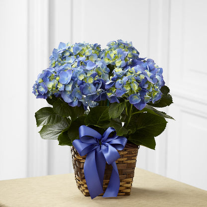Blue Hydrangea Planter –  Gathered Blooms By Emily, Fairburn GA