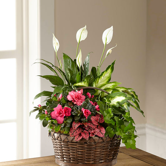 Dream in Pink Dishgarden –  Gathered Blooms By Emily, Fairburn GA