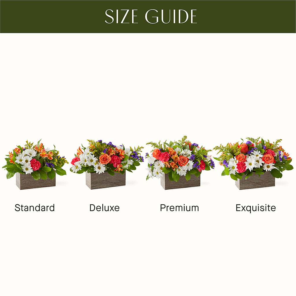 Oopsie Daisy Box Bouquet –  Gathered Blooms By Emily, Fairburn GA