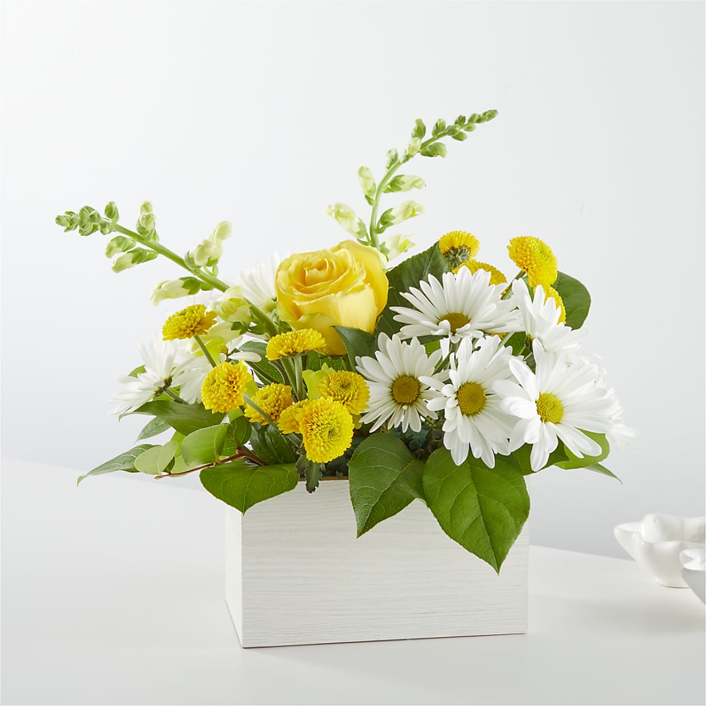 Sun Salutation Box Bouquet –  Gathered Blooms By Emily, Fairburn GA