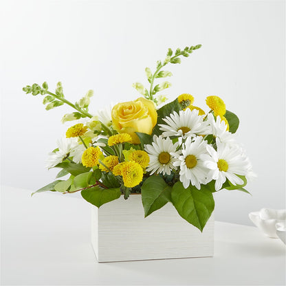 Sun Salutation Box Bouquet –  Gathered Blooms By Emily, Fairburn GA