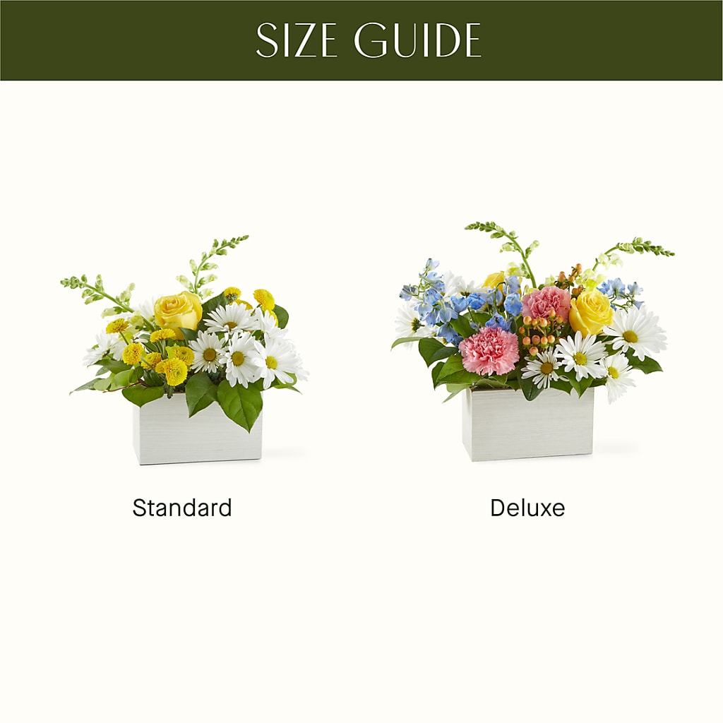 Sun Salutation Box Bouquet –  Gathered Blooms By Emily, Fairburn GA
