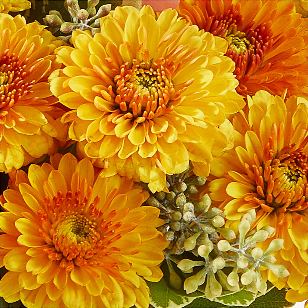 Peachy Pumpkin –  Gathered Blooms By Emily, Fairburn GA