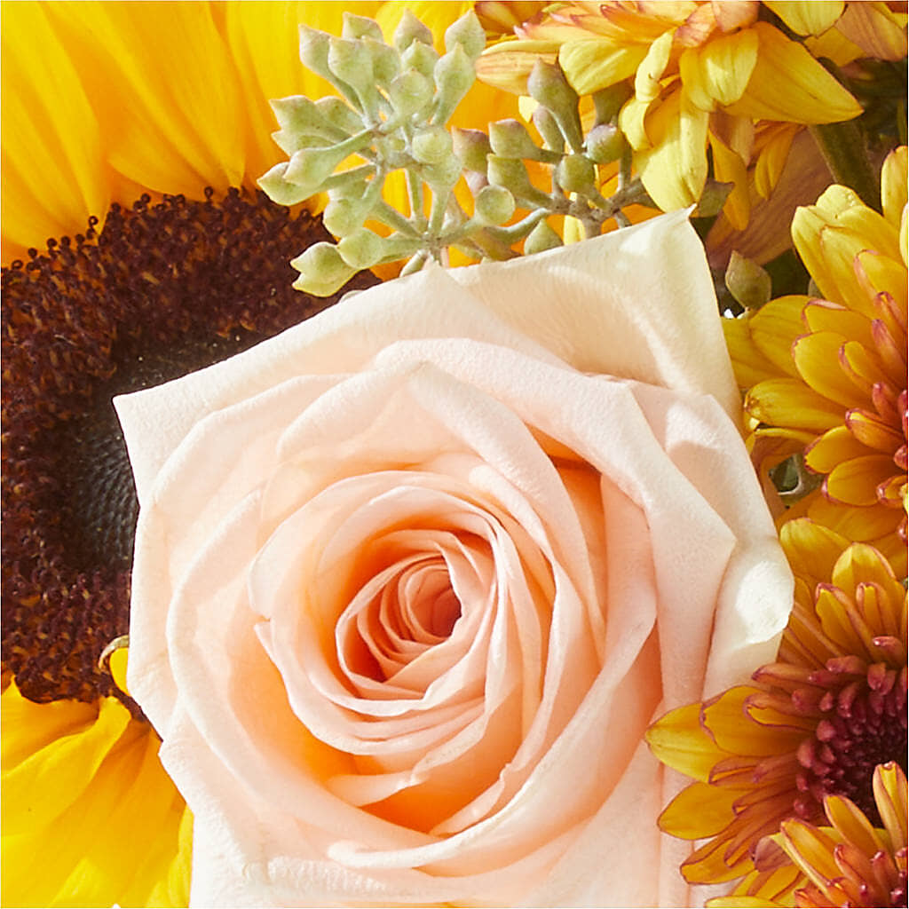 Pumpkin to Talk About Bouquet –  Gathered Blooms By Emily, Fairburn GA