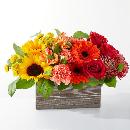 Autumn Orchard Bouquet –  Gathered Blooms By Emily, Fairburn GA