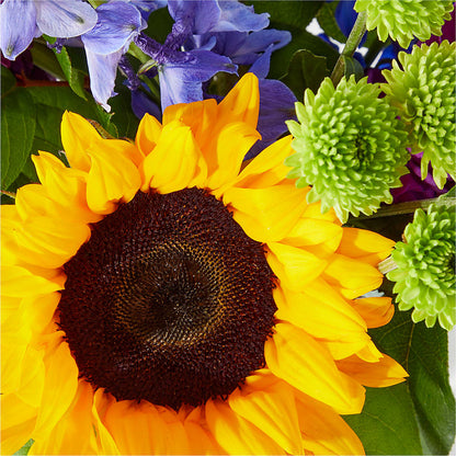 Catching Rays Bouquet –  Gathered Blooms By Emily, Fairburn GA