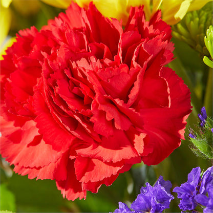Brighter Days Bouquet –  Gathered Blooms By Emily, Fairburn GA