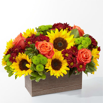 Happy Harvest Garden –  Gathered Blooms By Emily, Fairburn GA