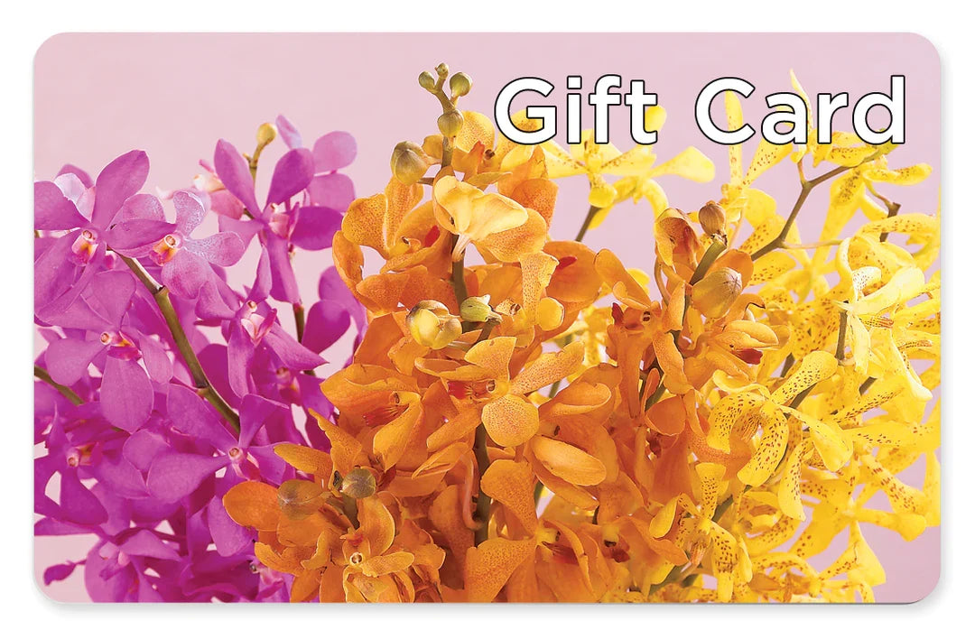 Gift Card –  Gathered Blooms By Emily, Fairburn GA