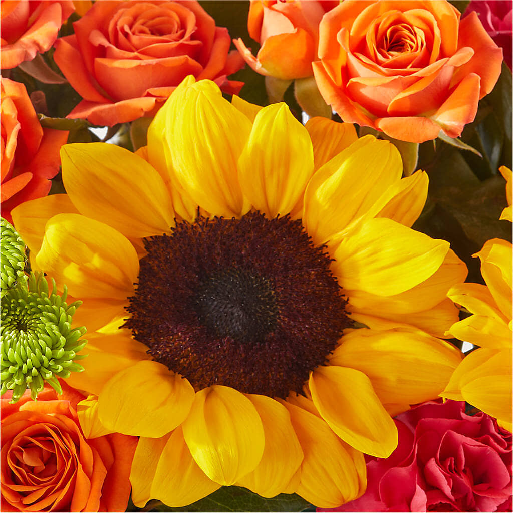 Sun-drenched Blooms Box Bouquet –  Gathered Blooms By Emily, Fairburn GA