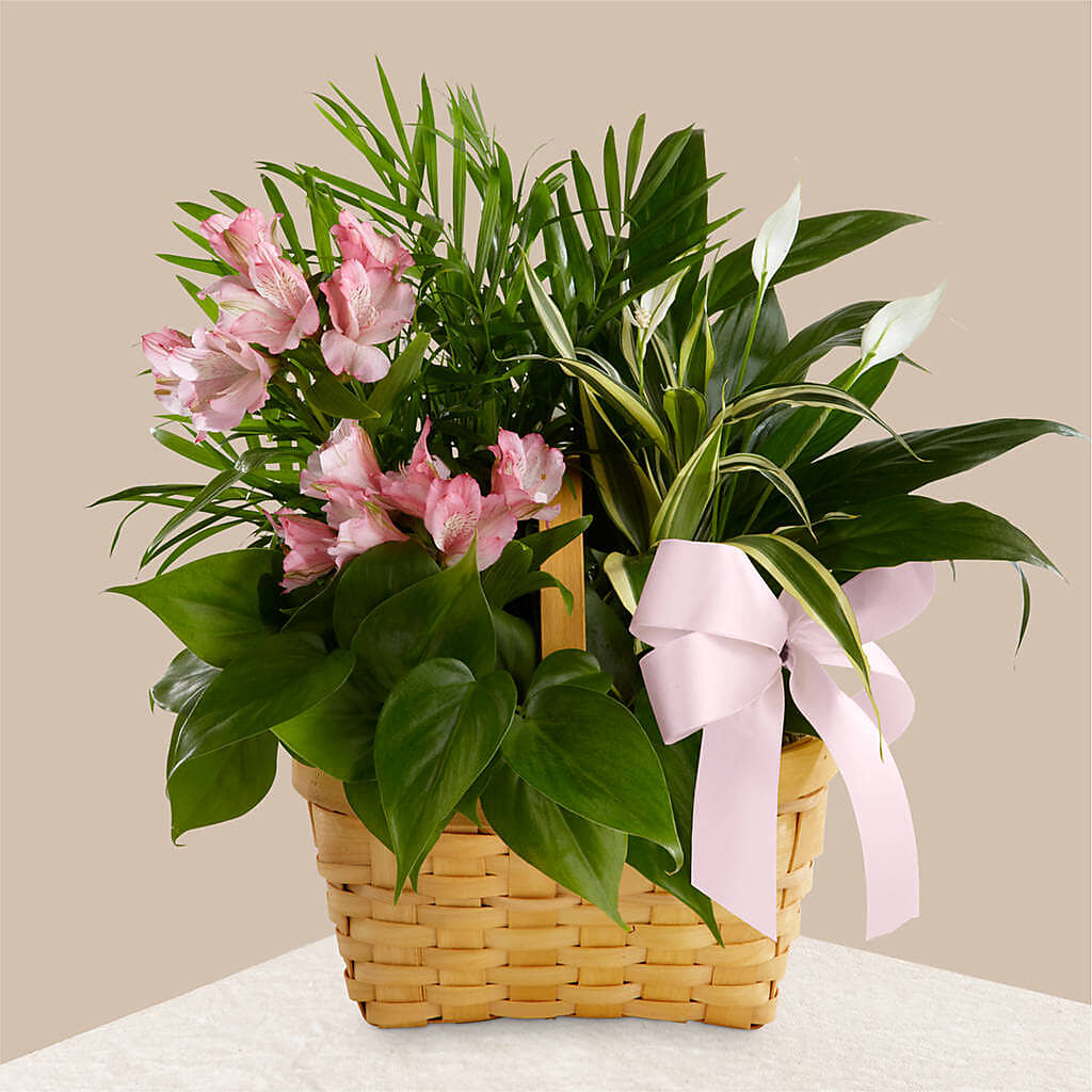 Living Spirit Dishgarden –  Gathered Blooms By Emily, Fairburn GA