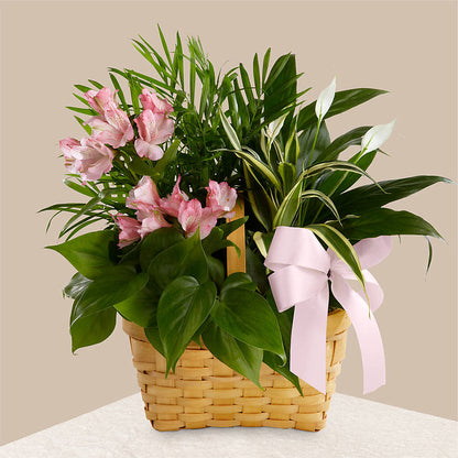 Living Spirit Dishgarden –  Gathered Blooms By Emily, Fairburn GA