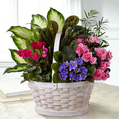 Peaceful Garden Planter –  Gathered Blooms By Emily, Fairburn GA