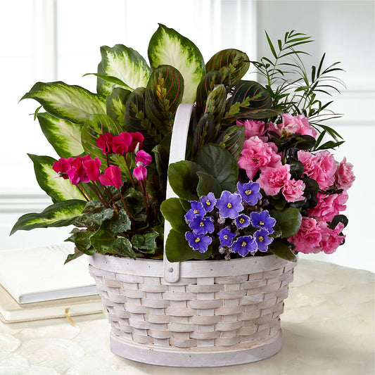 Peaceful Garden Planter –  Gathered Blooms By Emily, Fairburn GA
