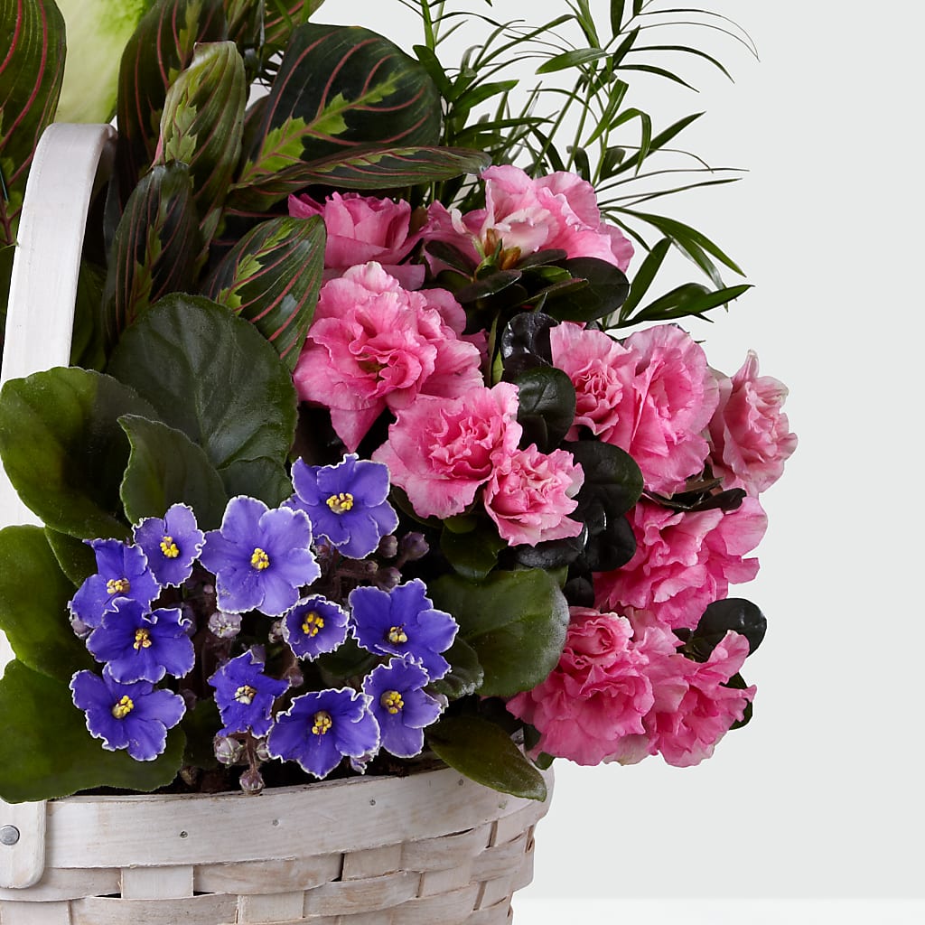 Peaceful Garden Planter –  Gathered Blooms By Emily, Fairburn GA