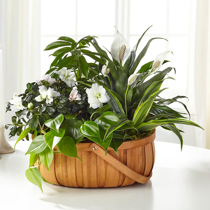 Serene Dishgarden –  Gathered Blooms By Emily, Fairburn GA