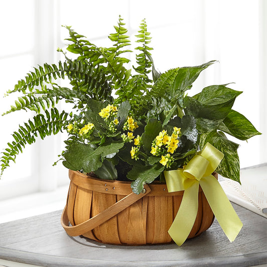 Always Dear Dishgarden –  Gathered Blooms By Emily, Fairburn GA