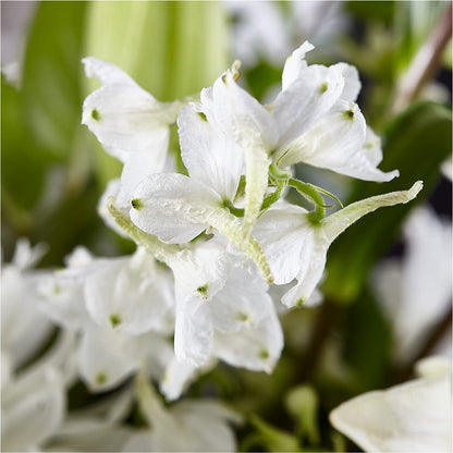 Classic Ivory – A Florist Original –  Gathered Blooms By Emily, Fairburn GA