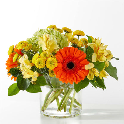 Autumn Sunshine Bouquet –  Gathered Blooms By Emily, Fairburn GA