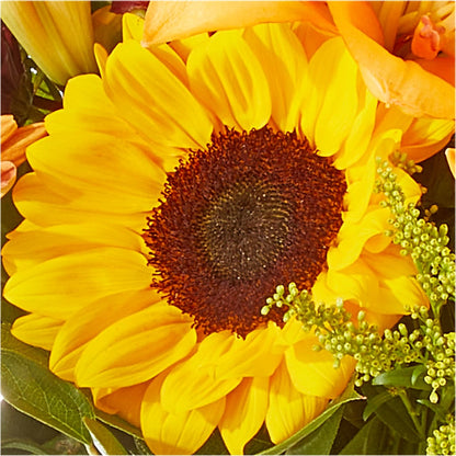 Seasons Change Bouquet –  Gathered Blooms By Emily, Fairburn GA