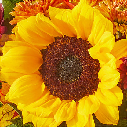 Sunny Side Bouquet –  Gathered Blooms By Emily, Fairburn GA