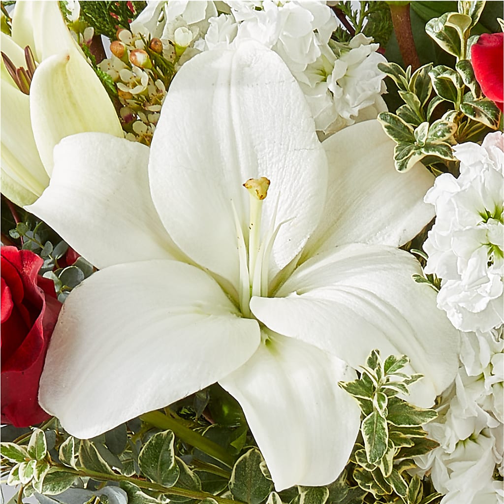 Twinkle Lights Bouquet –  Gathered Blooms By Emily, Fairburn GA