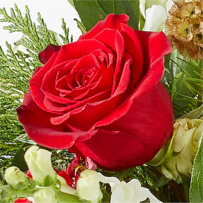 Deck the Halls Bouquet –  Gathered Blooms By Emily, Fairburn GA