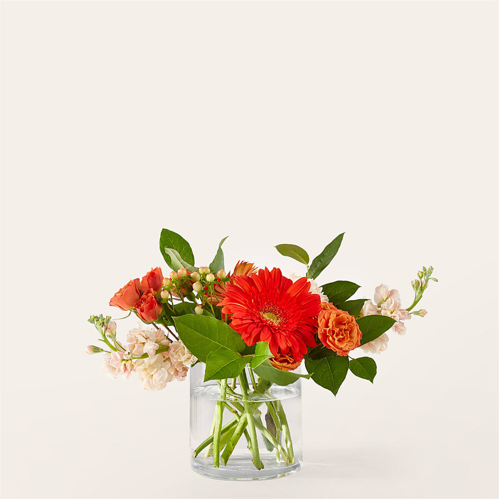 Paloma Please Bouquet –  Gathered Blooms By Emily, Fairburn GA