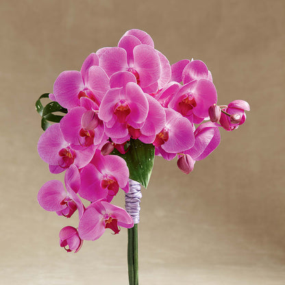 Glorious Bouquet –  Gathered Blooms By Emily, Fairburn GA