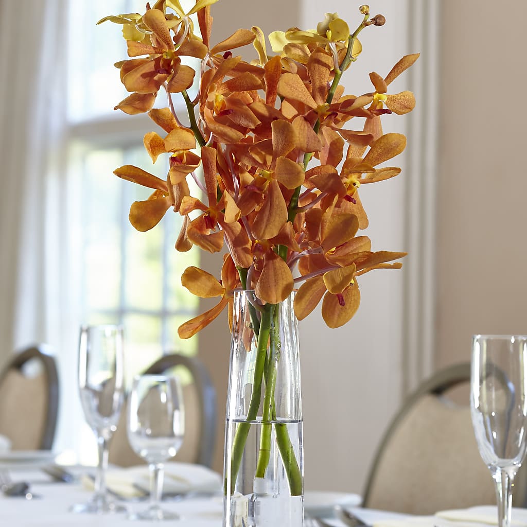 Orange Mokara Bud Vase –  Gathered Blooms By Emily, Fairburn GA