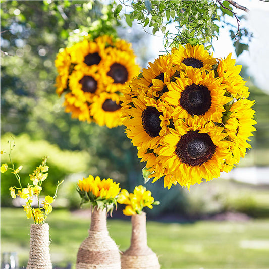 Sublime Garden Hanging Arrangement –  Gathered Blooms By Emily, Fairburn GA
