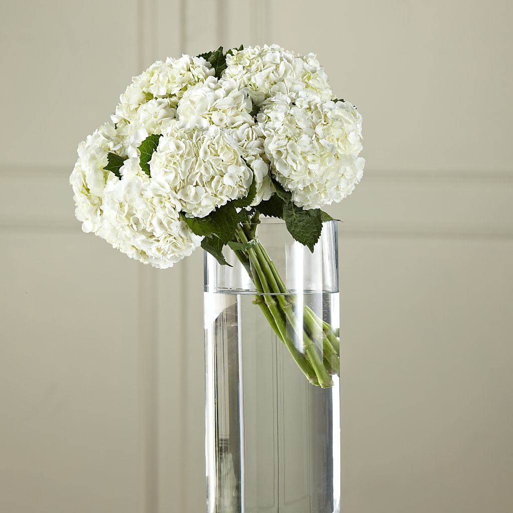 White Hydrangea Hand-Tied Bouquet –  Gathered Blooms By Emily, Fairburn GA