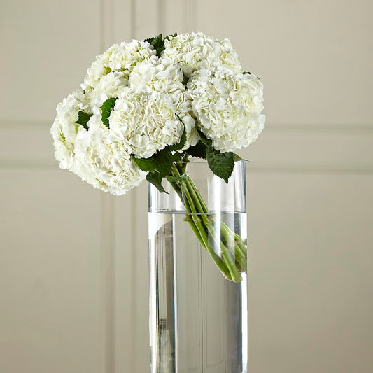 White Hydrangea Hand-Tied Bouquet –  Gathered Blooms By Emily, Fairburn GA