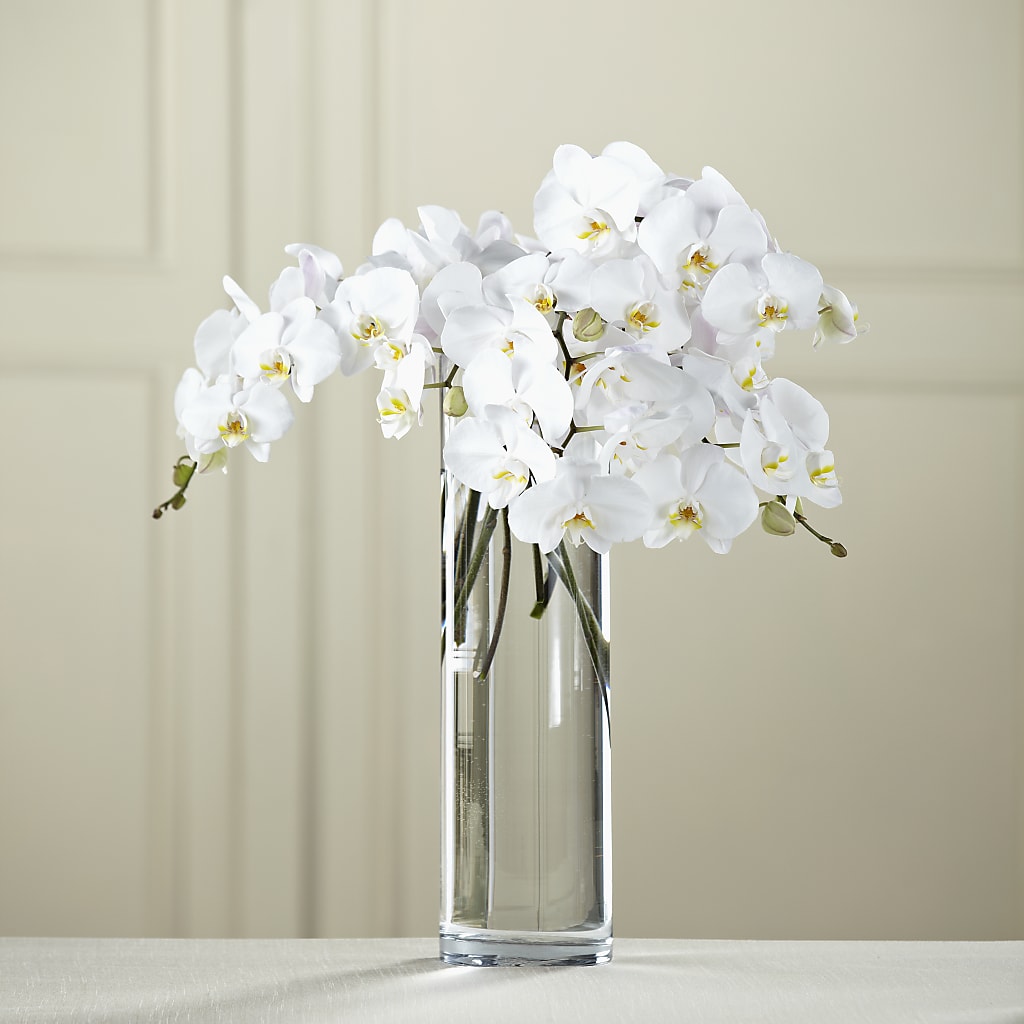 White Phalaenopsis Bouquet –  Gathered Blooms By Emily, Fairburn GA